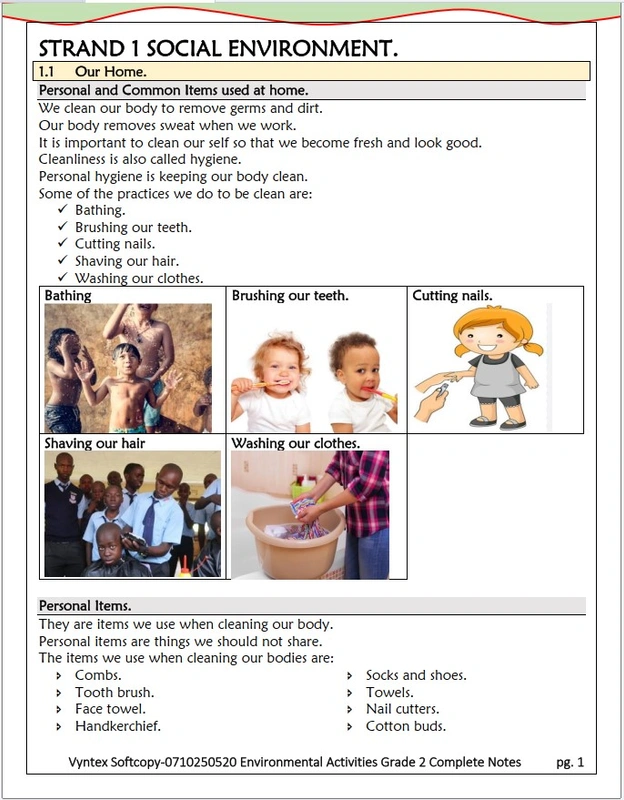 Grade 2 Environmental Activities Notes. image 2