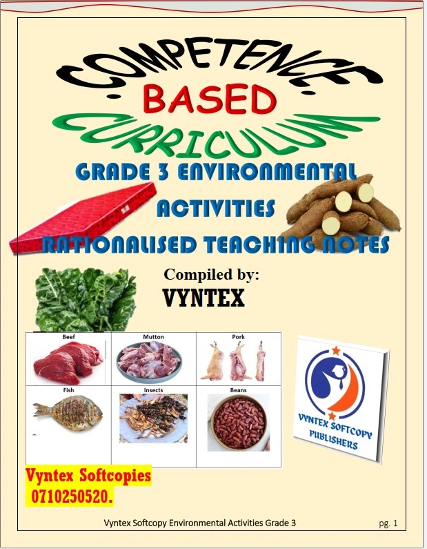 Grade 3 Environmental Activities Notes. image 1