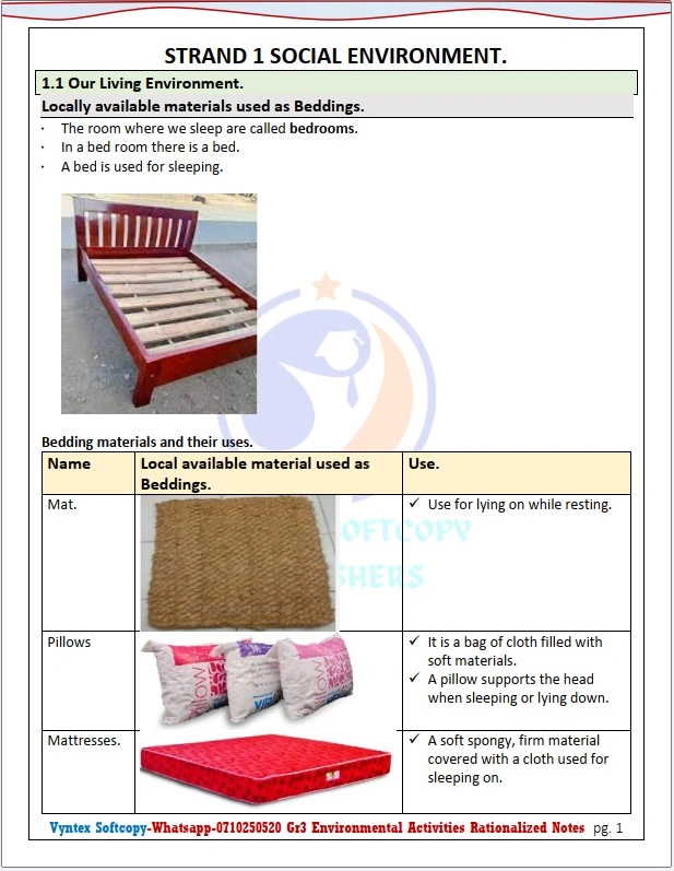 Grade 3 Environmental Activities Notes. image 2