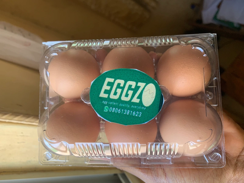 Eggzo 6-Egg pack 2