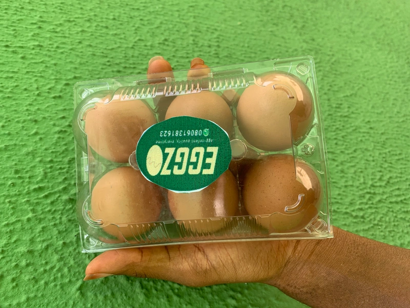 Eggzo 6-Egg pack (Customized) 100 packs 1