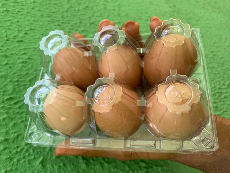 Eggzo 6-Egg pack (Customized) 100 packs 2