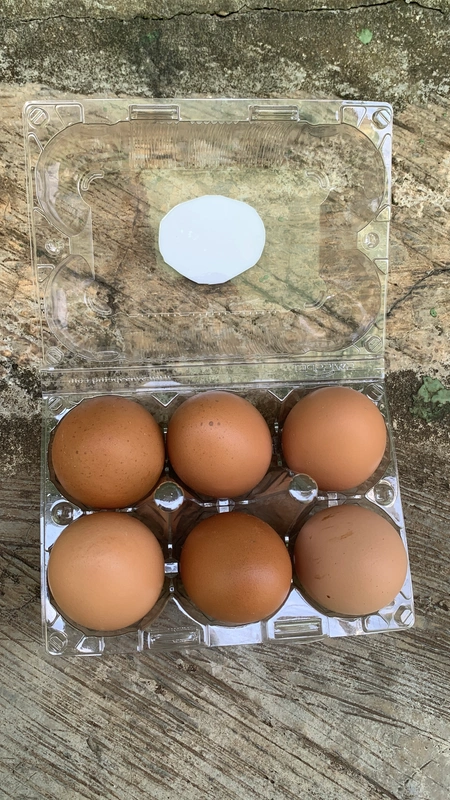 Eggzo 6-Egg pack (30 packs) 1