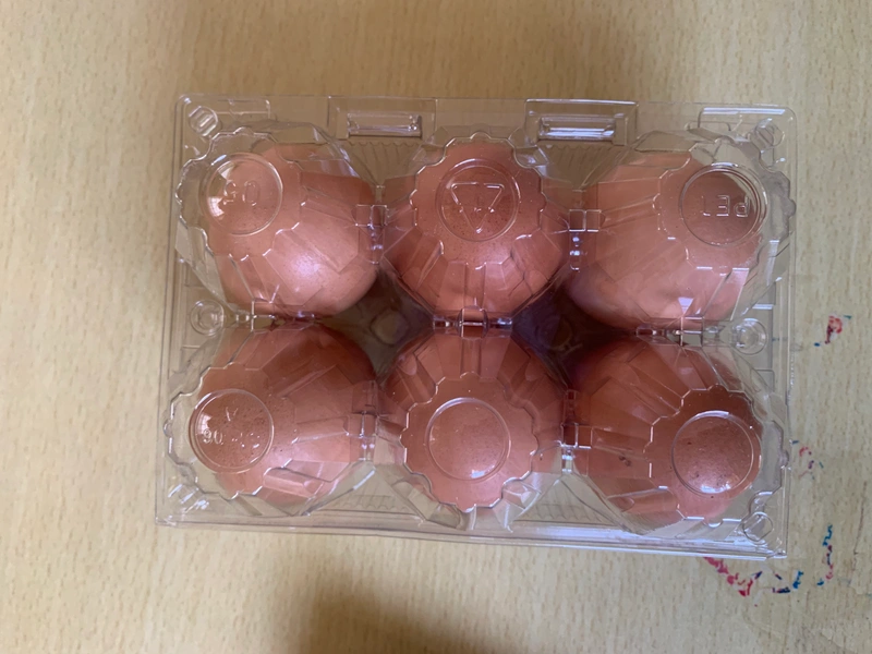 Eggzo 6-Egg pack (12 dozens) 2