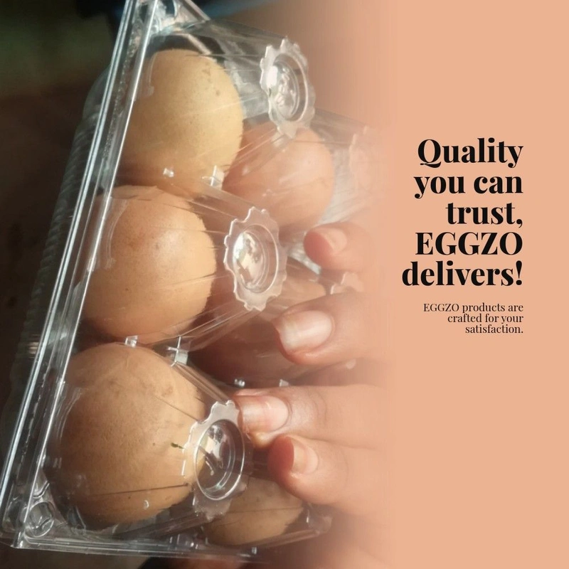 Eggzo 6-Egg pack (12 dozens) 3